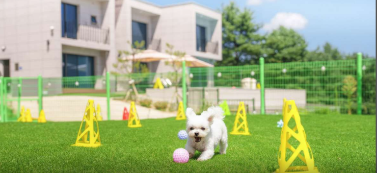 가평 스테이수목 독채 풀빌라 애견동반 펜션  수영장 예약