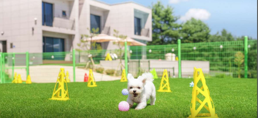 가평 스테이수목 독채 풀빌라 애견동반 펜션  수영장 예약 숙소 사진